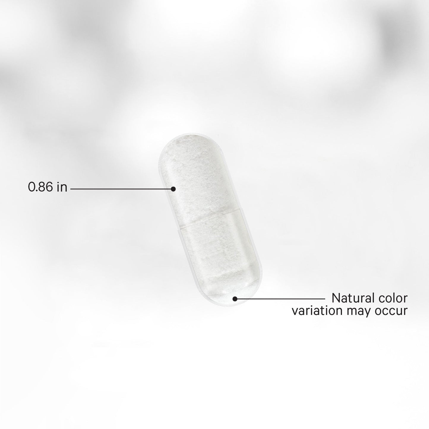 Liposomal L-Carnitine+