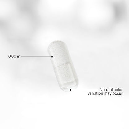 Liposomal L-Carnitine+