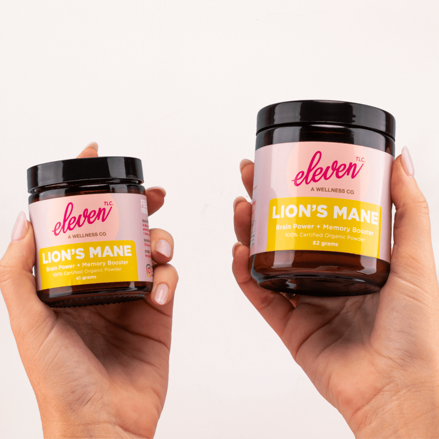 Lion's Mane Organic Mushroom Superfood Powder: The Brain Mushroom Powder - Vegan America