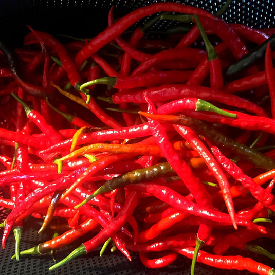 LLF_Cayenne_Product_Photo.jpg