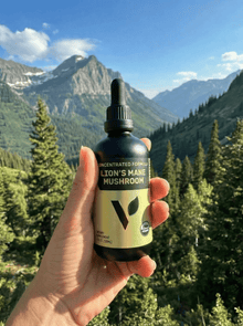 Veggimins Organic Lion's Mane Mushroom, 4oz - Vegan America