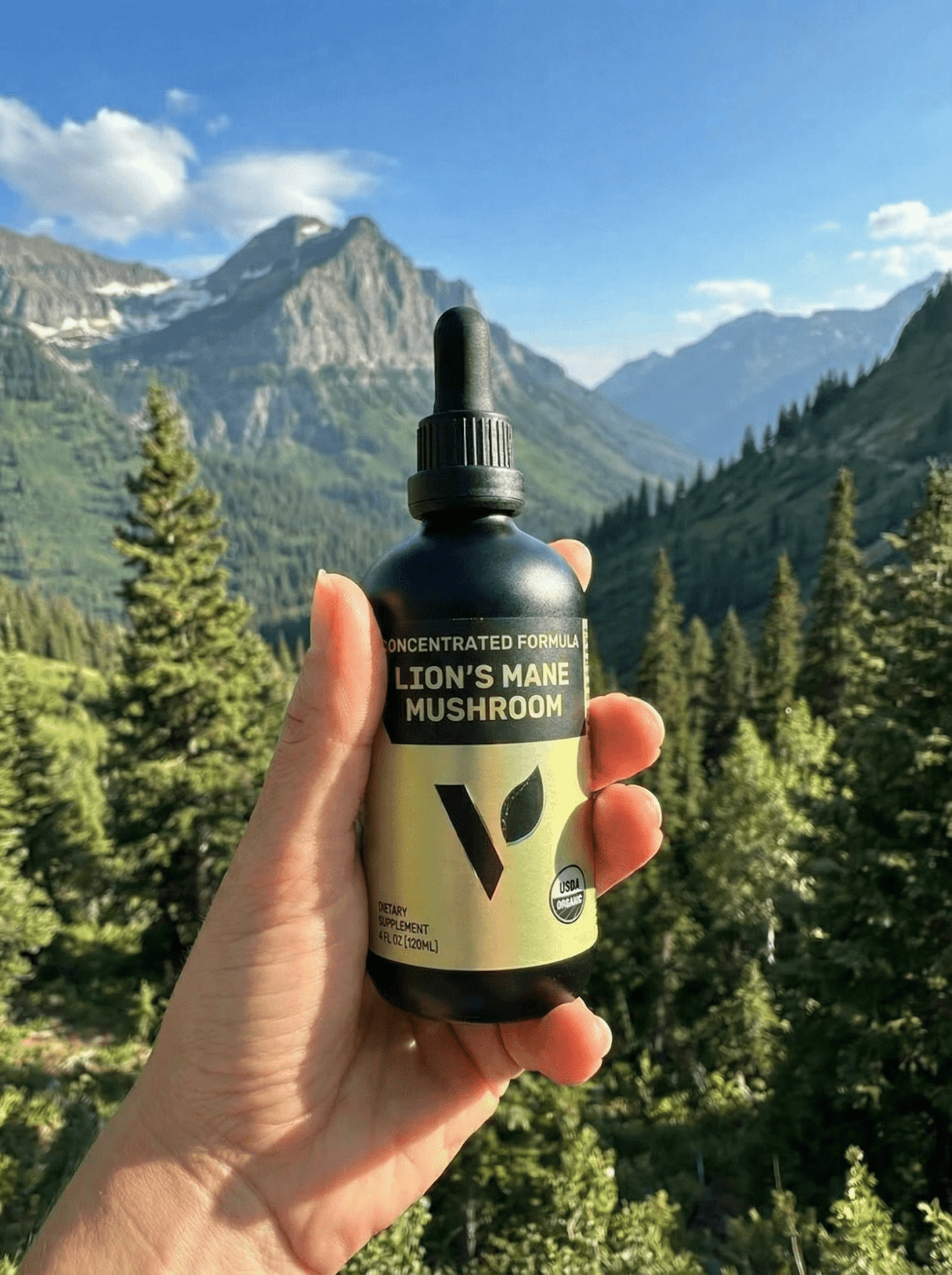 Organic Lion's Mane Mushroom, 2oz - Vegan America
