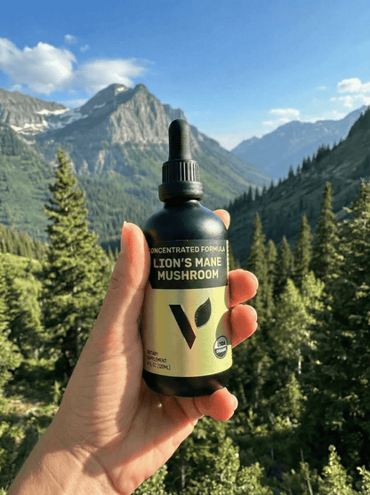 Organic Lion's Mane Mushroom, 2oz - Vegan America