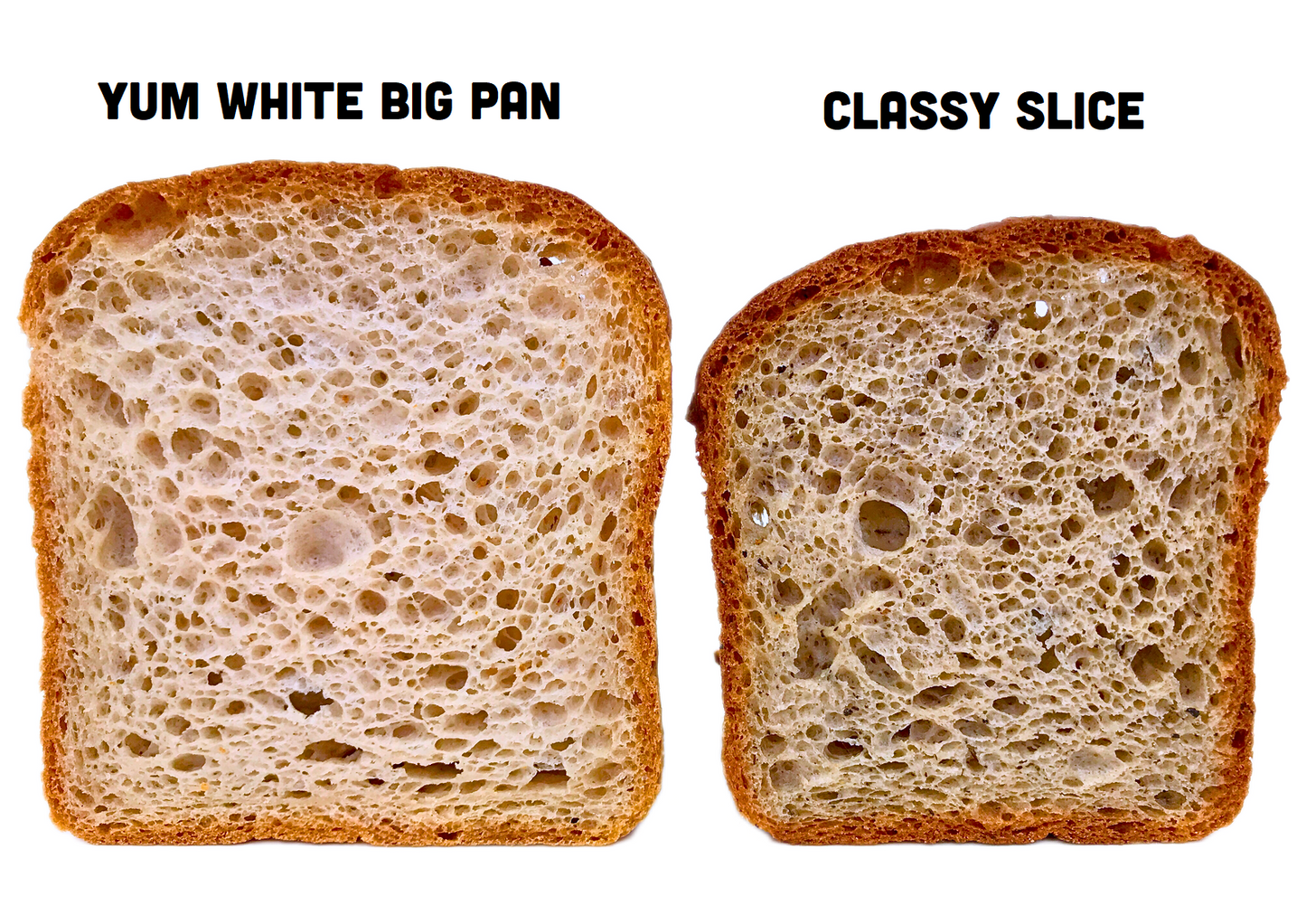 Whole Grain Yum White Big Pan