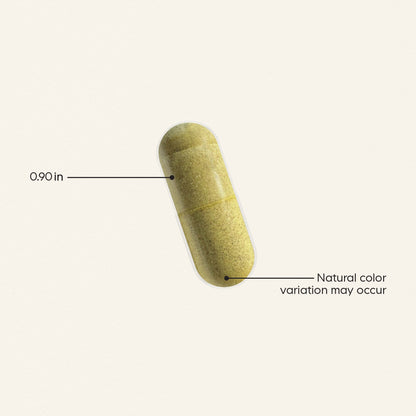 Leaky Gut Formula - Vegan America