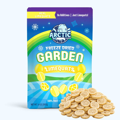 Freeze Dried Limequats - Vegan America
