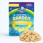 Freeze Dried Limequats - Vegan America