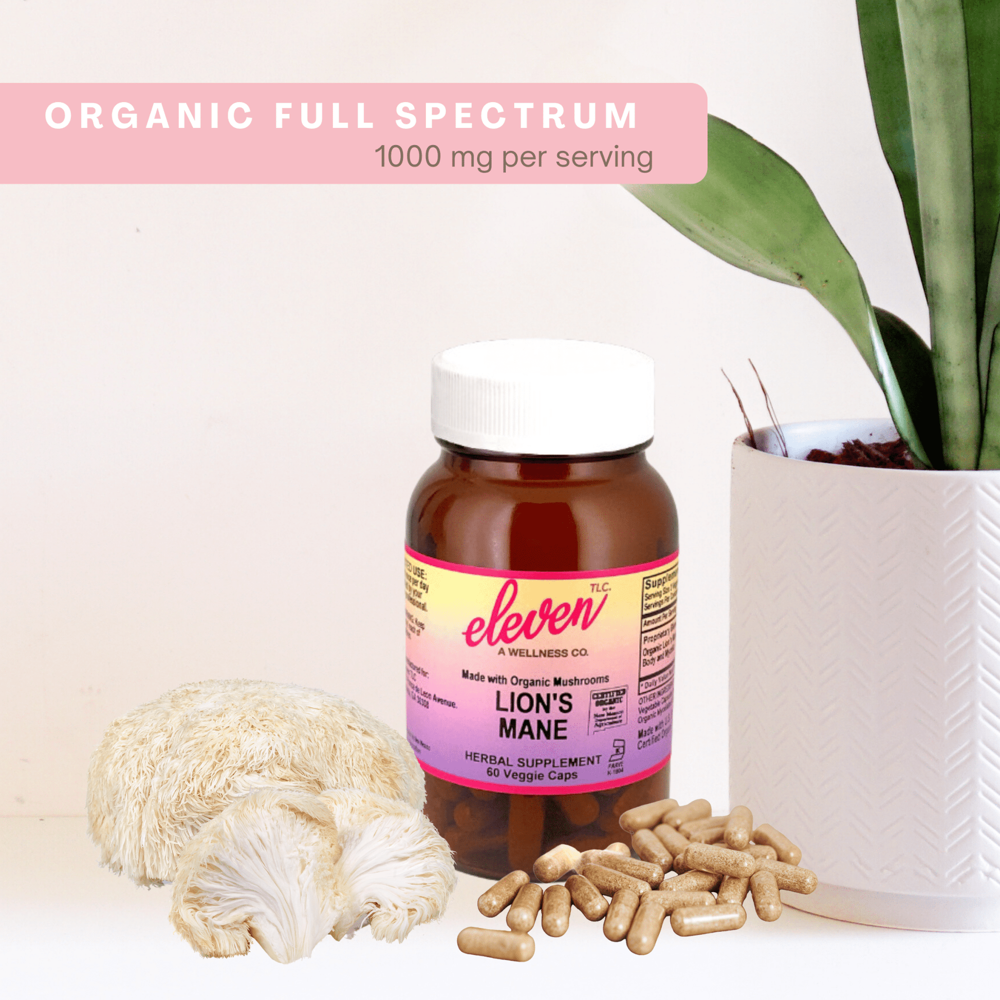 Lion's Mane Organic Mushroom Capsules | 60 Capsules - Vegan America