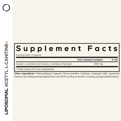 Liposomal Acetyl-L-Carnitine+
