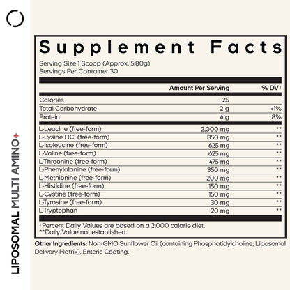 Liposomal Multi Amino+ Powder