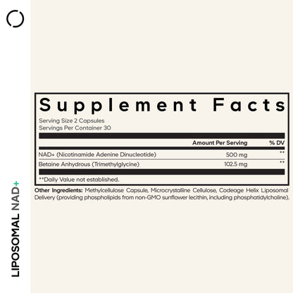 Liposomal NAD+ Capsules