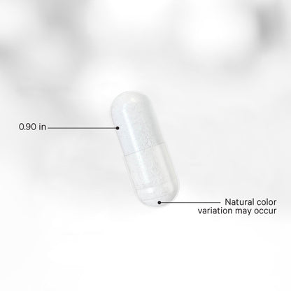 Liposomal Nicotinamide Riboside+ Large