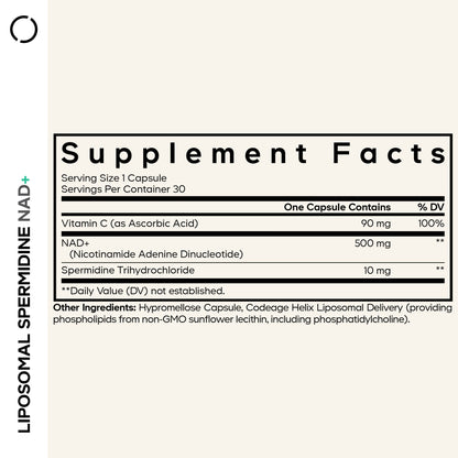 Liposomal Spermidine NAD+
