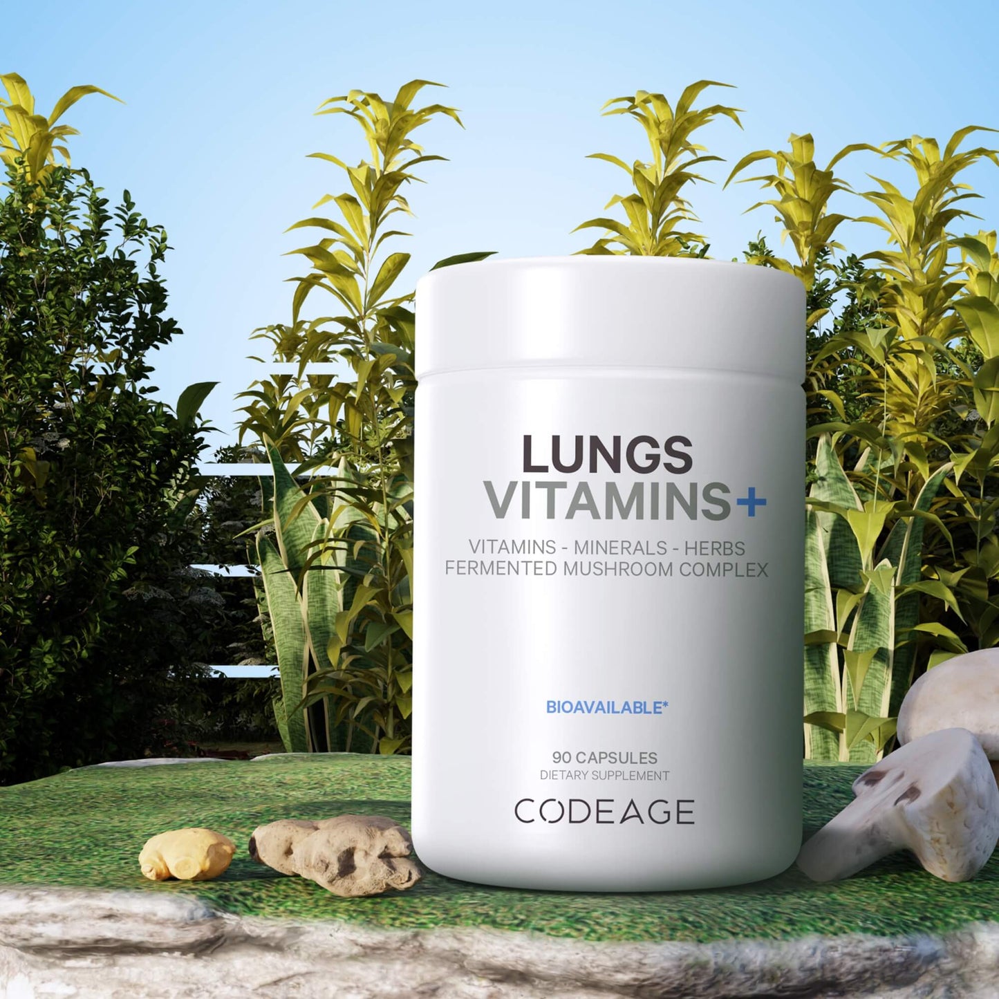 Lungs Vitamins