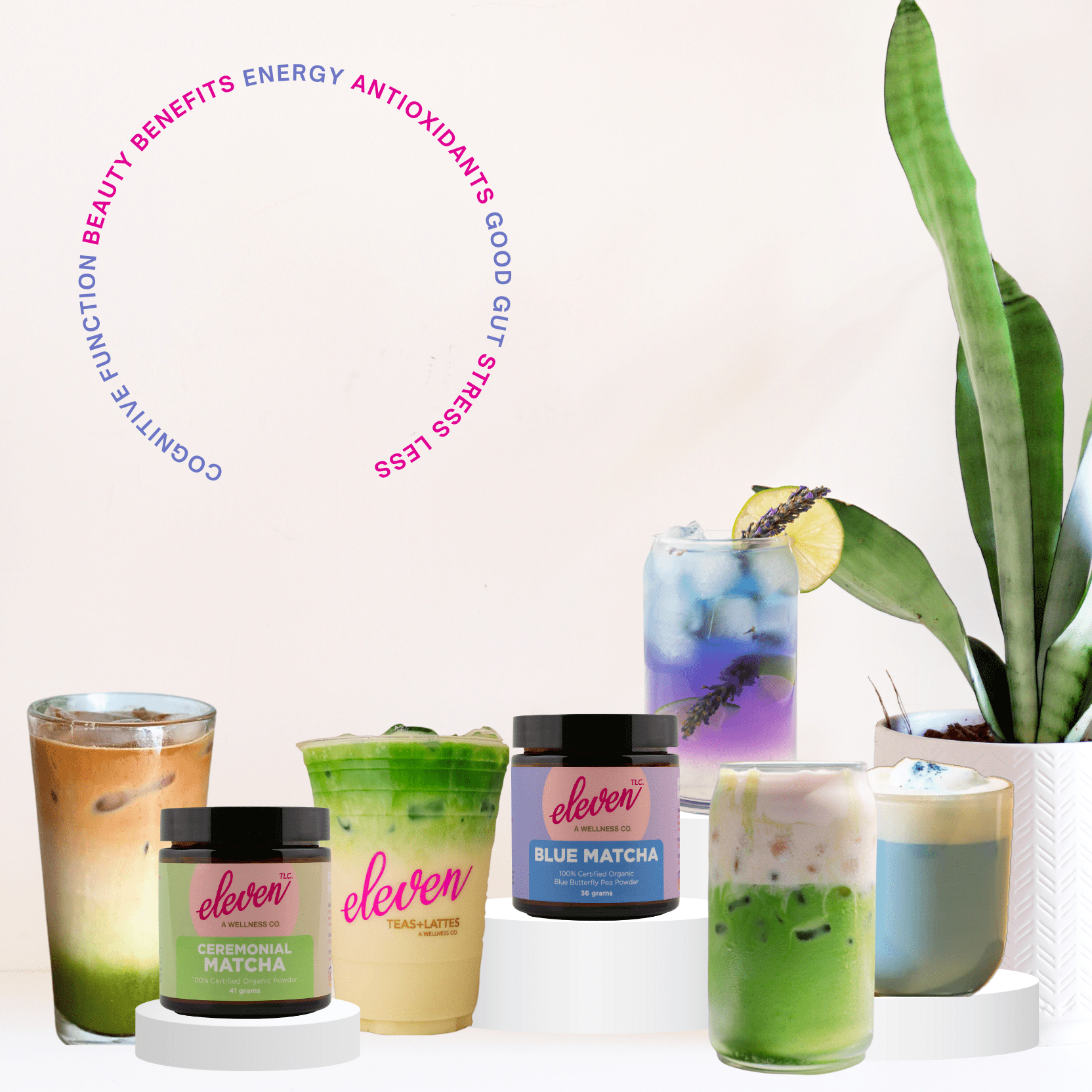 Premium Organic Ceremonial Japanese Matcha + Blue Matcha | Bundle - Vegan America