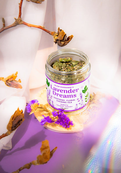 LAVENDER DREAMS | Soothing, floral evening looseleaf tea with Wildcrafted Sassafras, Bayberry & Organic Lavender