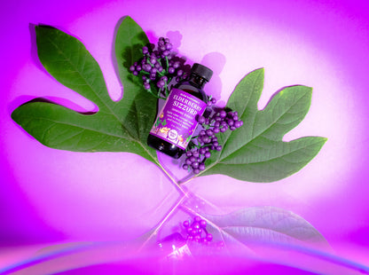 VEGAN Elderberry sizZurp | TRAVEL MINI | with local honey, wild plants, wildcrafted elderberries, and organic ingredients