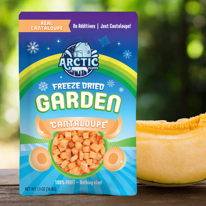 Freeze Dried Cantaloupe Melon