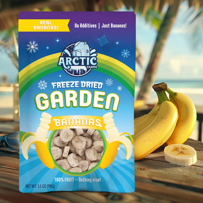Freeze Dried Banana Chips