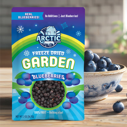 Freeze Dried Blueberries