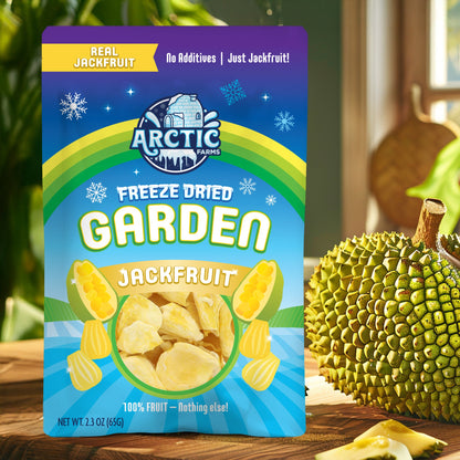 Freeze Dried Organic Ripe Jackfruit