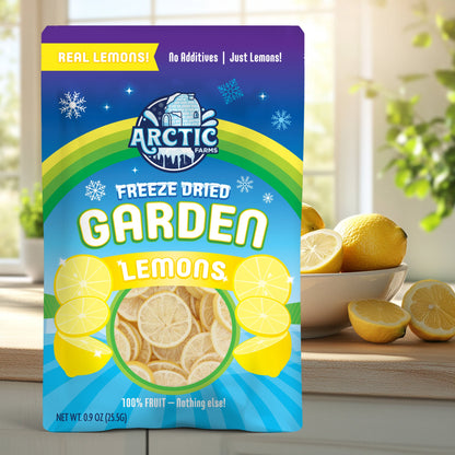 Freeze Dried Lemon Slices
