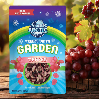Freeze Dried Red Grapes