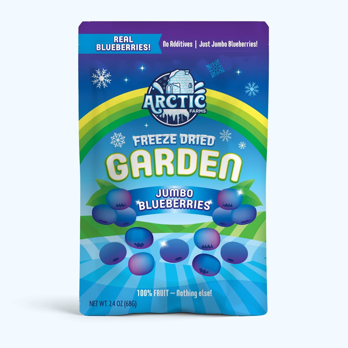 Freeze Dried JUMBO Blueberries - Vegan America
