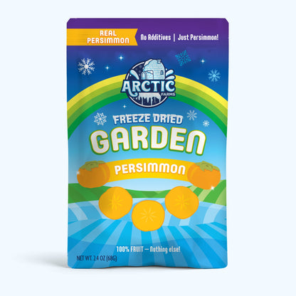 Freeze Dried Persimmon Slices