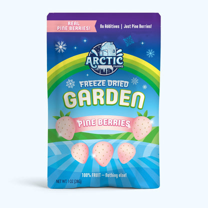 Freeze Dried Pineberry - Vegan America