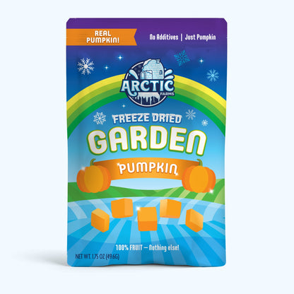 Freeze Dried Pumpkin
