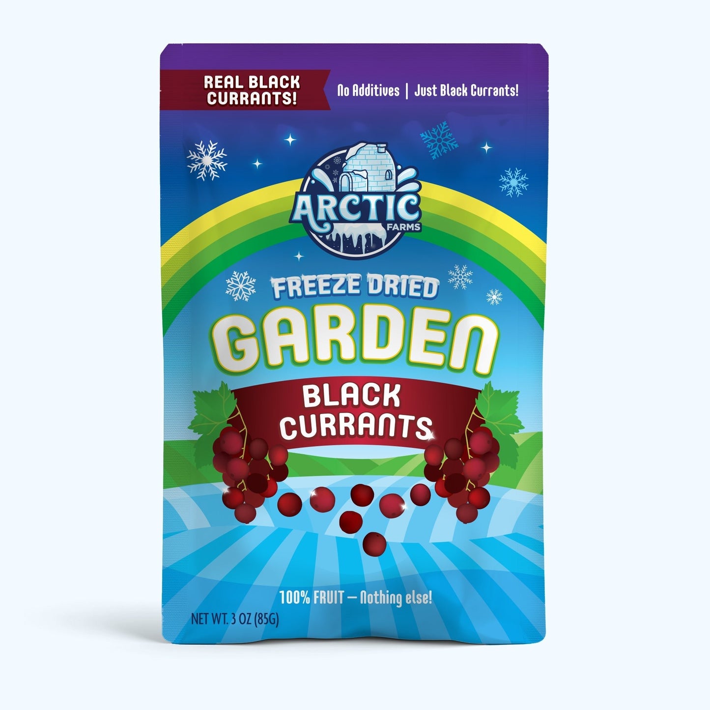Freeze Dried Organic Black Currant - Vegan America