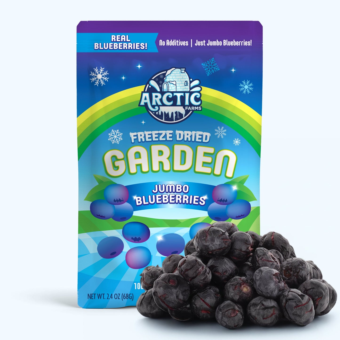 Freeze Dried JUMBO Blueberries - Vegan America