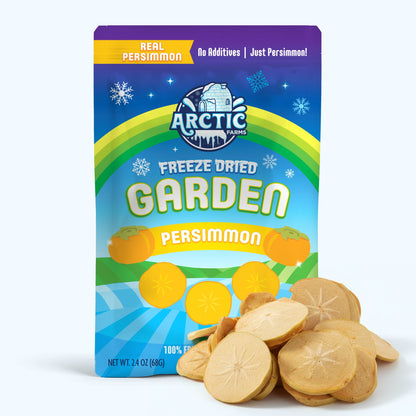 Freeze Dried Persimmon Slices