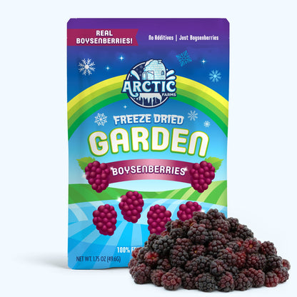 Freeze Dried Boysenberry