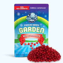Freeze Dried Red Currant