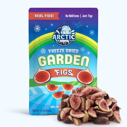 Freeze Dried Figs