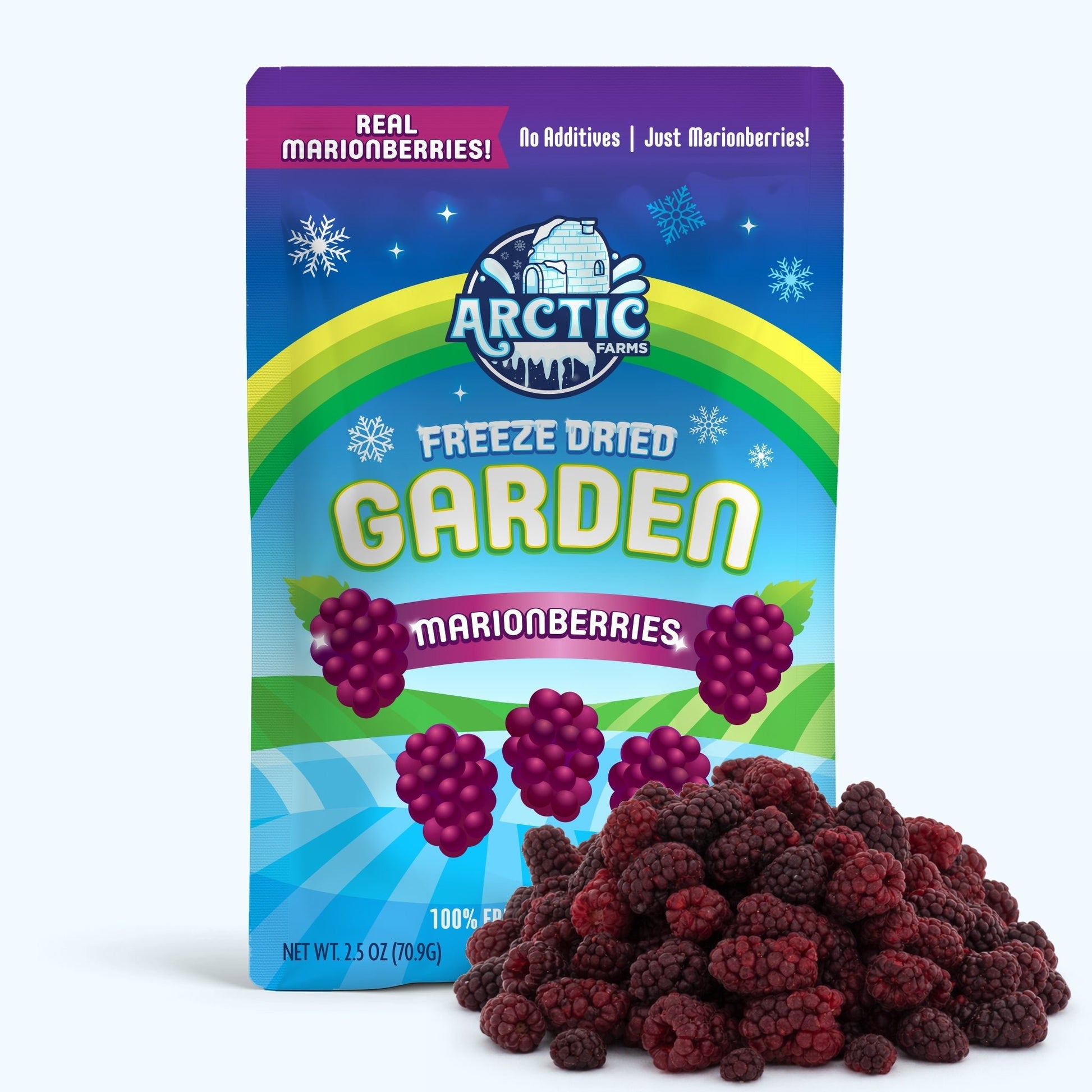 Freeze Dried Marionberries - Vegan America
