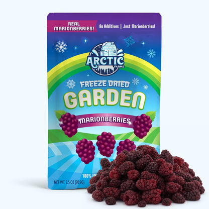 Freeze Dried Marionberries - Vegan America