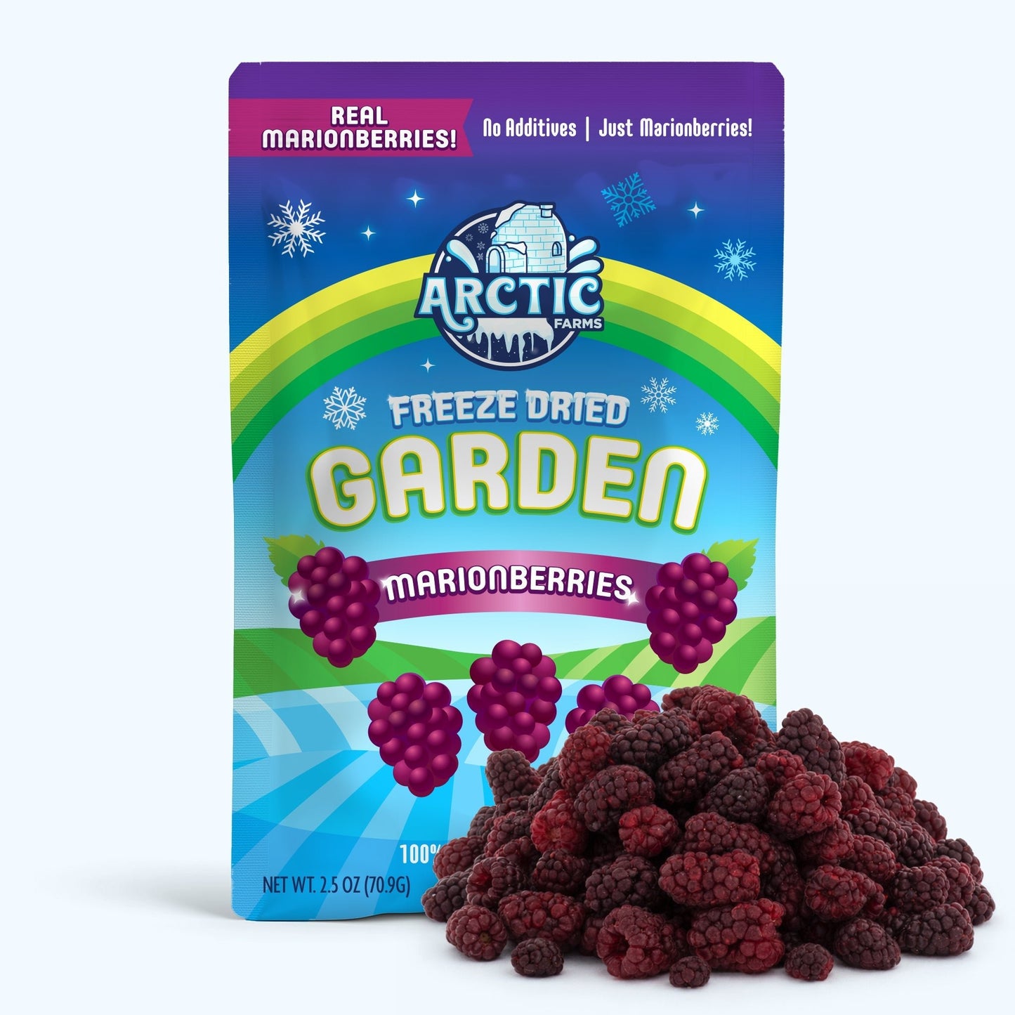 Freeze Dried Marionberries - Vegan America