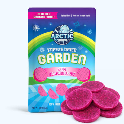 Freeze Dried Red Dragon Fruit Slices
