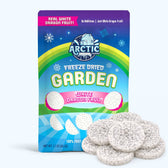 Freeze Dried White Dragon Fruit Slices - Vegan America