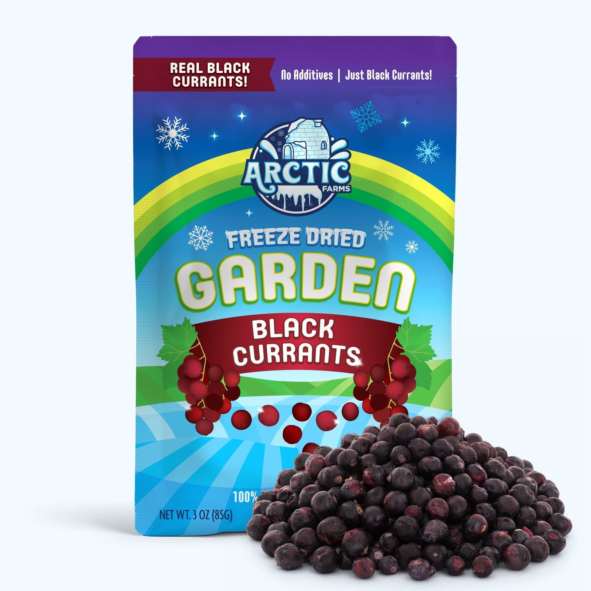 Freeze Dried Organic Black Currant - Vegan America