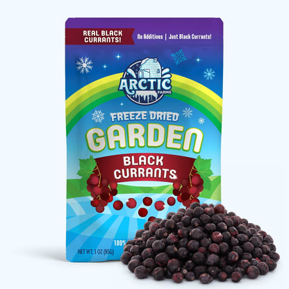 Freeze Dried Organic Black Currant - Vegan America