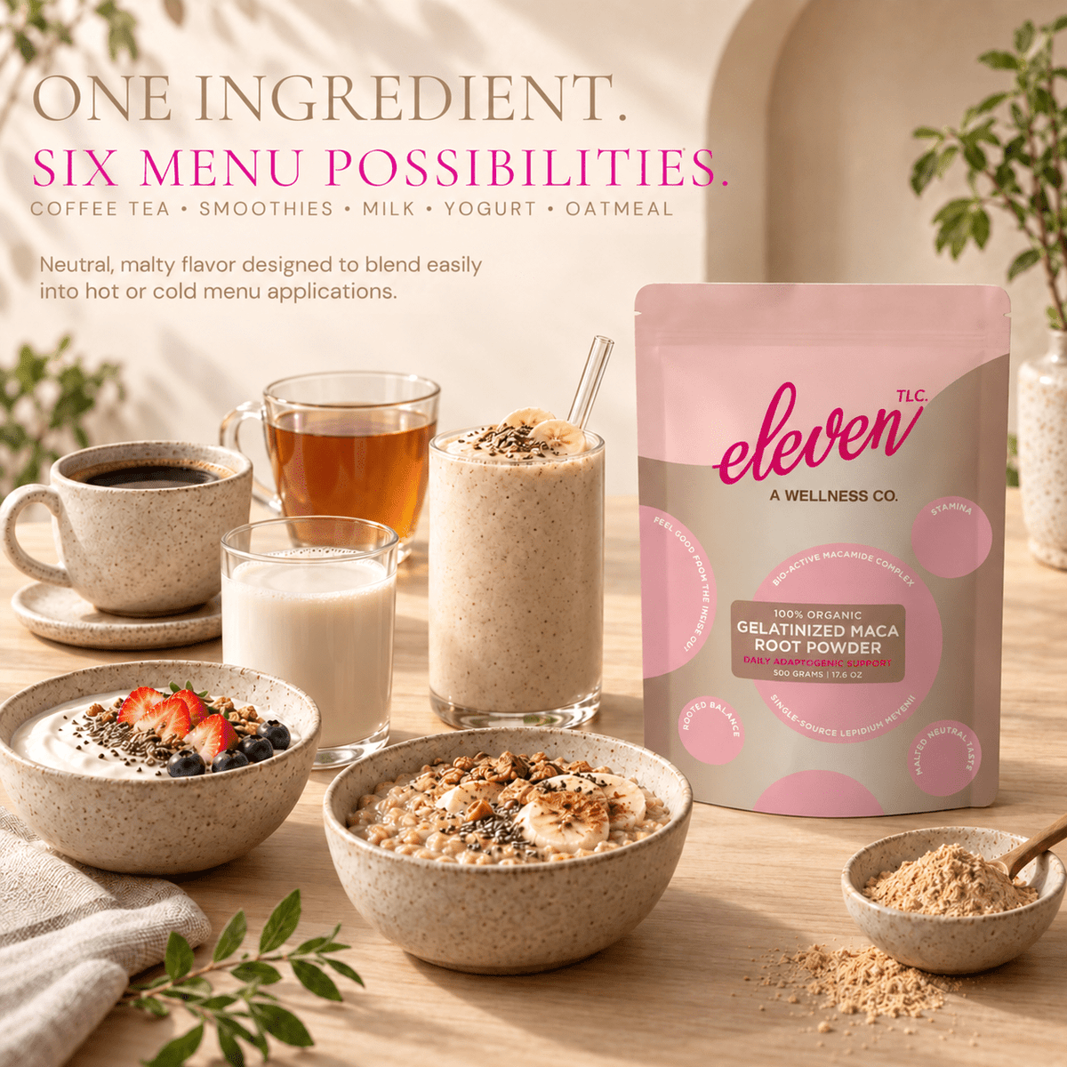 Organic Gelatinized Maca Root Powder | 500g Bulk Foodservice - Vegan America