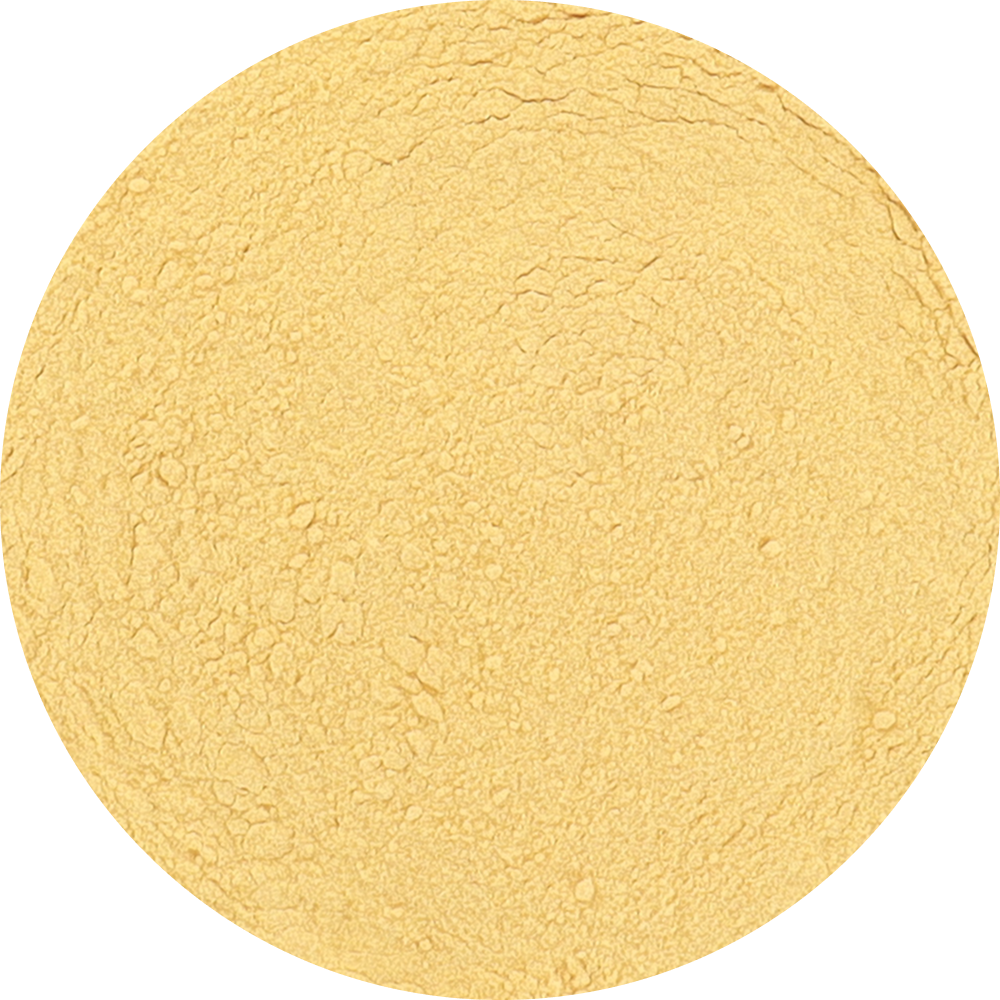 Freeze Dried Mango Powder