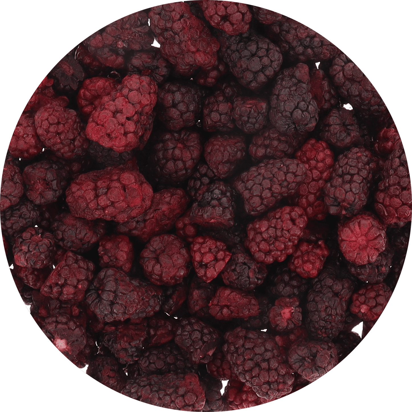 Freeze Dried Marionberries - Vegan America