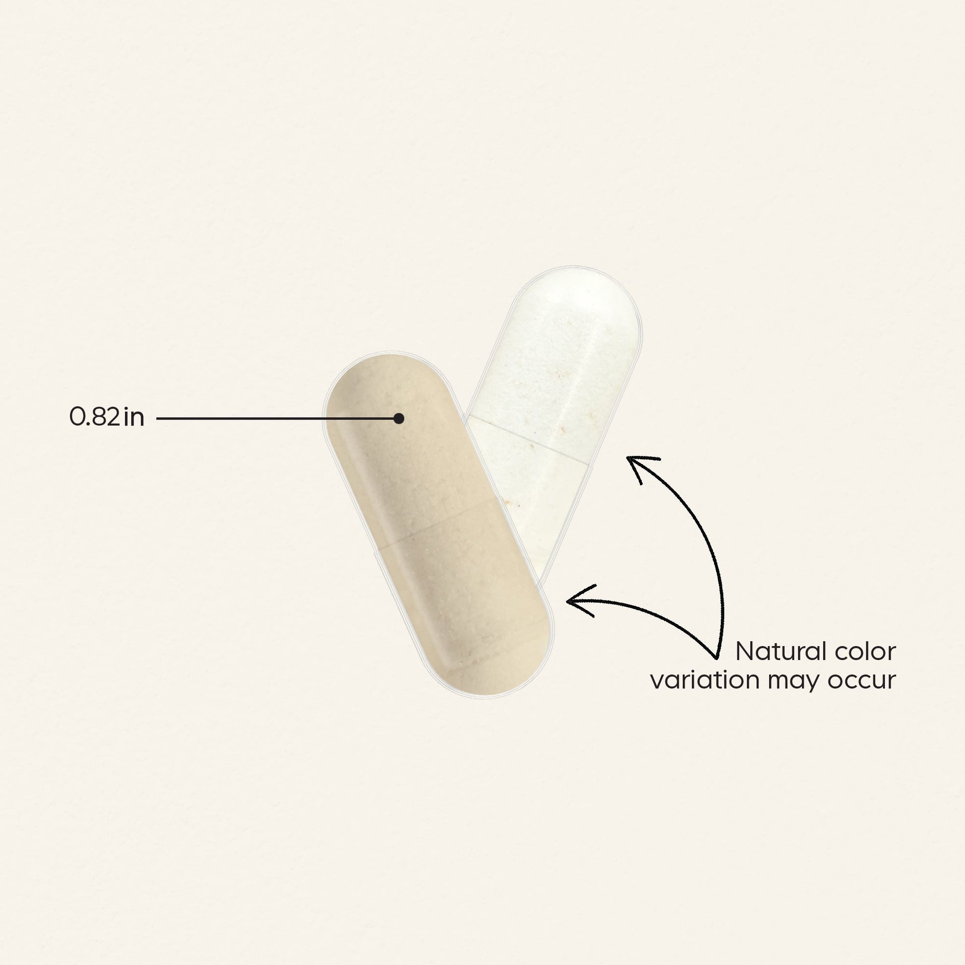 Men's Daily Probiotic - Vegan America