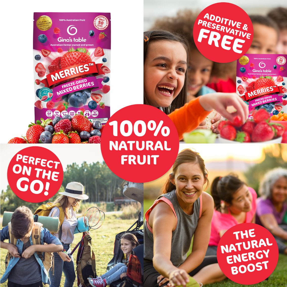 Freeze Dried Mixed Berries - Vegan America