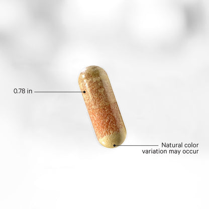 Methylfolate B Complex+